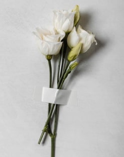 نمونه کار شماره ۶