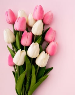 نمونه کار شماره ۱