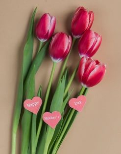 نمونه کار شماره ۲