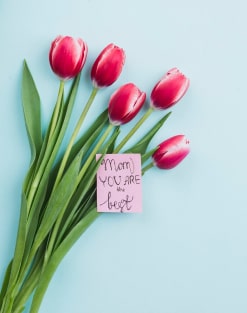 نمونه کار شماره ۳