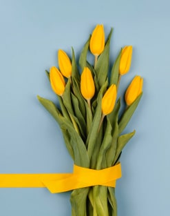 نمونه کار شماره ۴