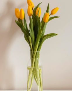 نمونه کار شماره ۵