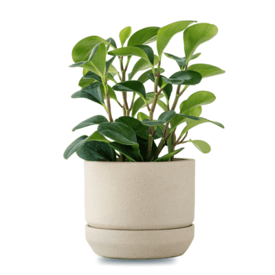 Group-167-2-q46hv68asm9zk9apgvve2bwjaxb52di743x84ff7og (1) Group-167-2-q46hv68asm9zk9apgvve2bwjaxb52di743x84ff7og (1)