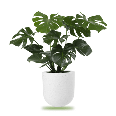 Group-167-min-1-q48tky7bjjwsmrm94lupmtbmk6satnzosx4o12v5i8 (1) Group-167-min-1-q48tky7bjjwsmrm94lupmtbmk6satnzosx4o12v5i8 (1)